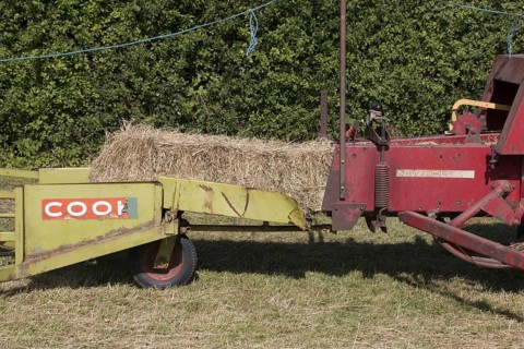 Haymaking