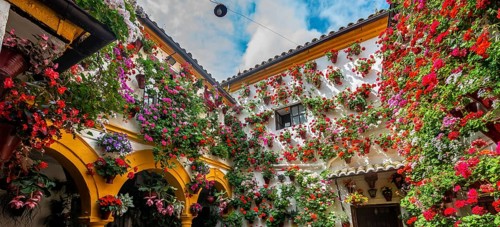 Patio decorated with flowers