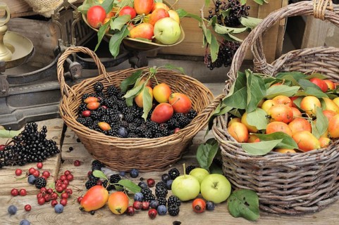 Selection of edible hedgerow fruits in baskets