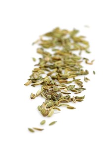 Seeds of fennel