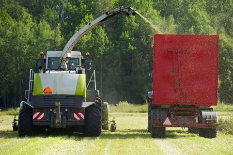 Claas Jaguar 850 forage harvester