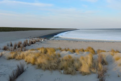 Iced Wadden Sea