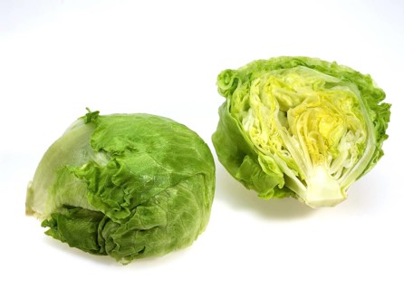 Iceberg lettuce