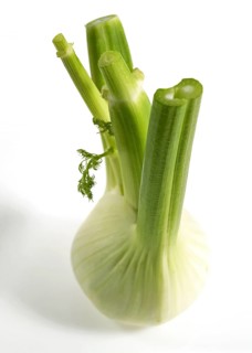 FRESH FENNEL