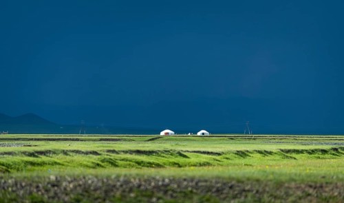 Outside a Mongolian nomad family in summer in front of the rain