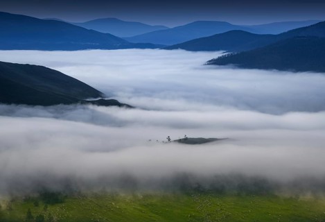 Morning fog in Orkhon riverbank