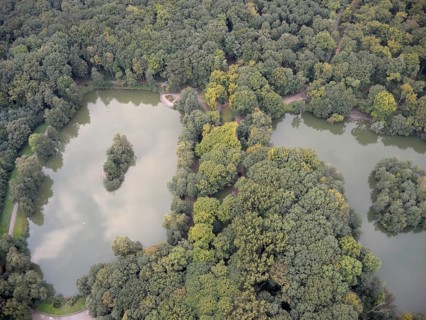 View from hot air balloon