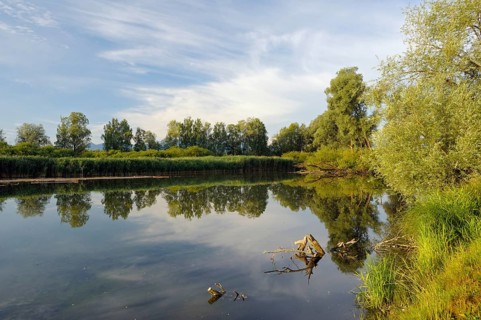Mouth of the Prien into the Chiemsee