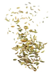 FENNEL SEEDS
