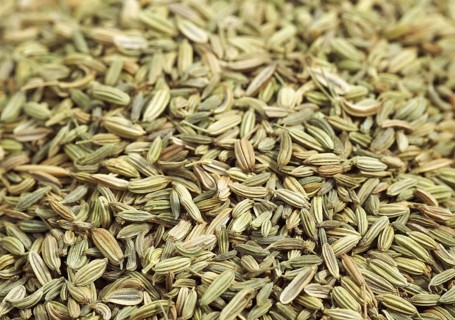 Fennel