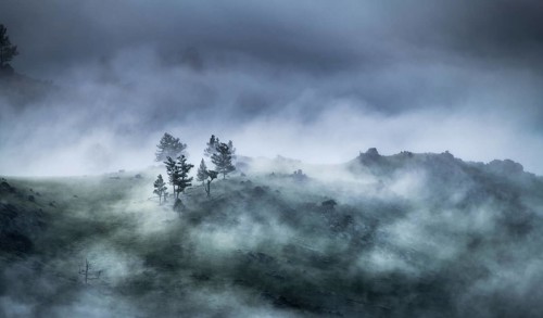 Fog in Orkhon river valley in the morning