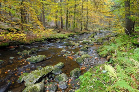 Stone gorge in autumn