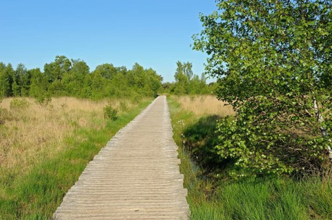 Groote Peel National Park