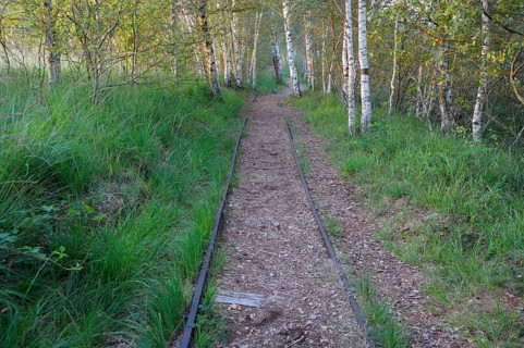 Old tracks of the moor railway