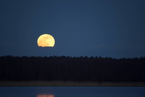 Full moon