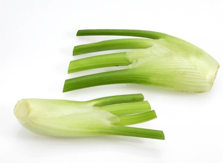 Small fennel