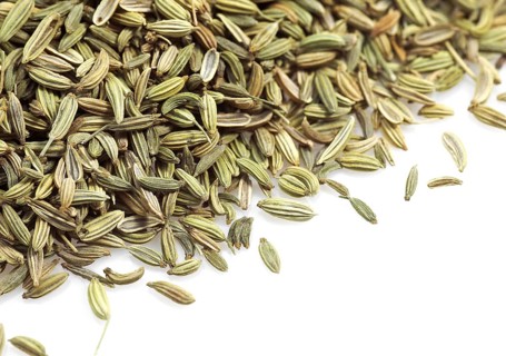 Fennel seed