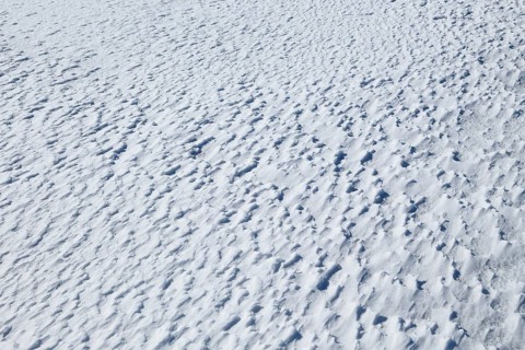 Snowdrift