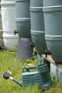 Plastic waterbutts and watering can on village allotment plot