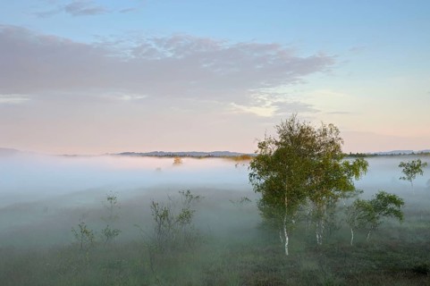 View from lookout tower onto moor