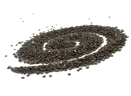 French green lentils called Puy lentils