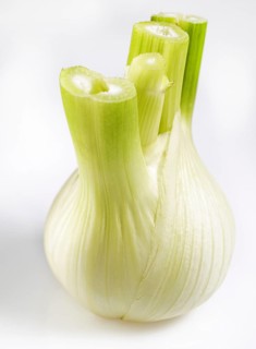 Fresh fennel