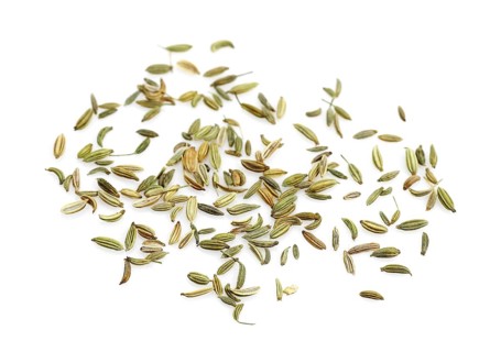 Seeds of fennel