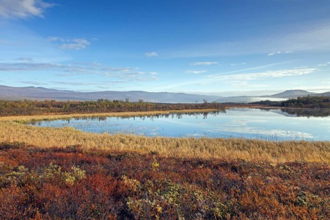 Lake in the marsh area of Fokstumyra Nature Reserve in autumn