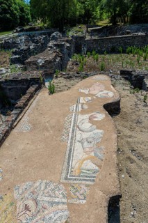 Mosaic in the Archaeological Park of Dion