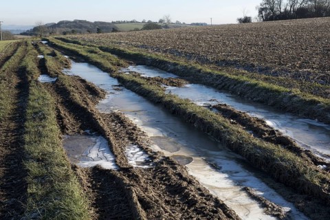Puddles in deep tractor ruts frozen on cold bright winter morning