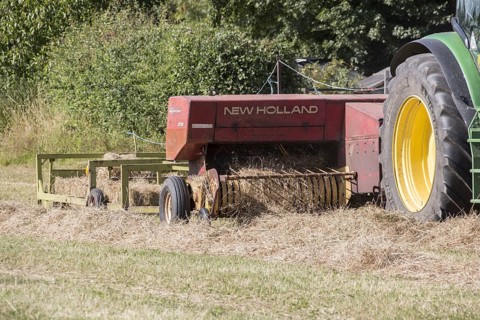 Haymaking