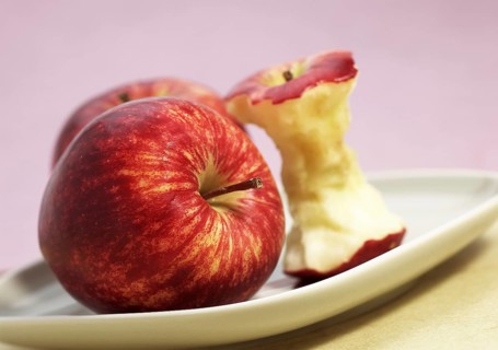 Malus domestica