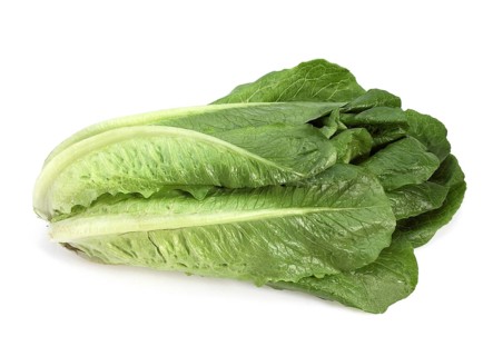 Romaine lettuce