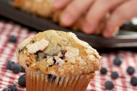 Fresh blueberry muffins out of the oven