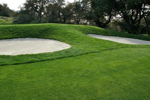 Abstract of golf course bunkers on a spring day
