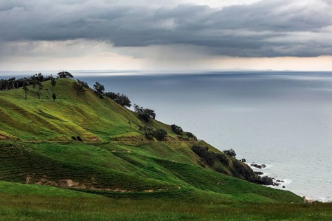 Hilly landscape