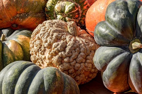 Pumpkins