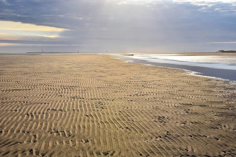 Sandy beach beach with ripple pattern