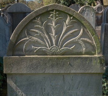 Lily relief on a Jewish gravestone