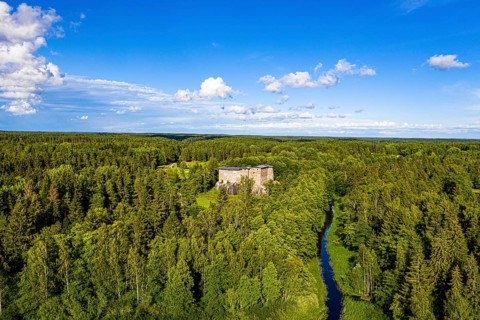 Aerial of Raseburg castle