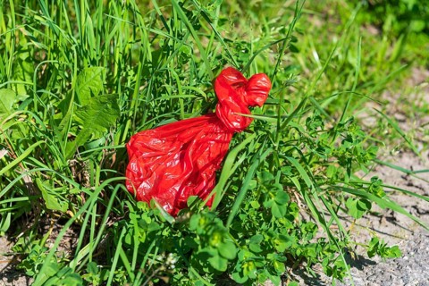 Dog excrement bag