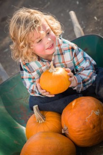 Adorable little boy sitting in wheelbarrow and holding his pumpkin in a rustic ranch setting at the pumpkin patch