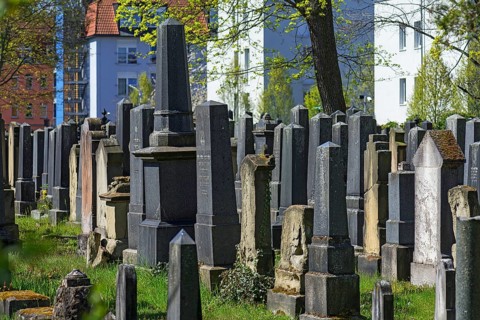 Gravestones at the Old Jewish Cemetery