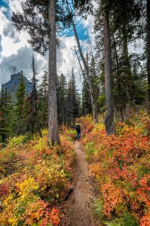 Hiker on a trail between trees and bushes in autumn colors