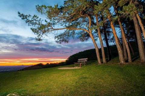 Park bench at sunrise on the Hohenbol below the Teck