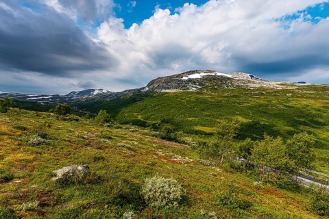 Boardwalk through grass in the Aurland plateau
