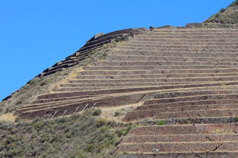 Walled terraces in the Inca ruin complex