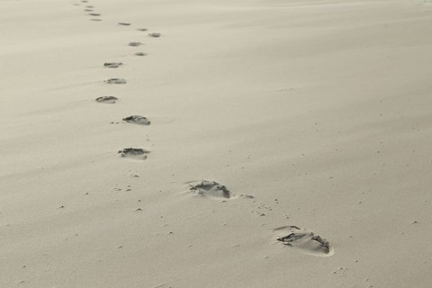 Footprints in the sand at Kniepsand