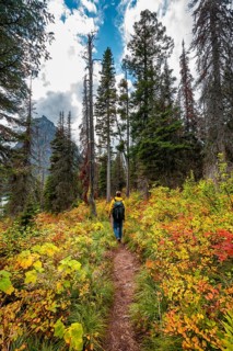 Hikers on a trail through brush in fall colors