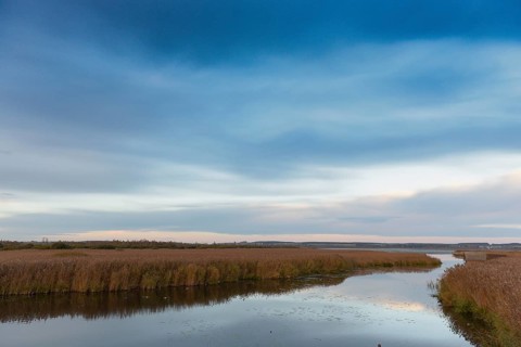 Kanzach in front of the mouth into the Federsee lake